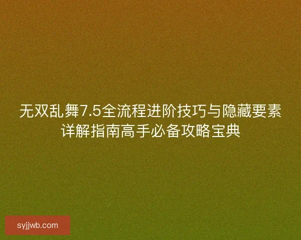 无双乱舞7.5全流程进阶技巧与隐藏要素详解指南高手必备攻略宝典